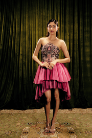 Embellished corset-tulle dress