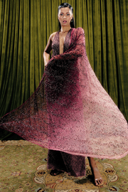 Embellished Concept Lace Saree With Plunge Neck Bodysuit