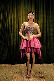 Embellished corset-tulle dress