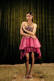Embellished corset-tulle dress