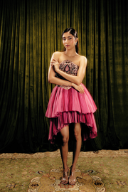 Embellished corset-tulle dress