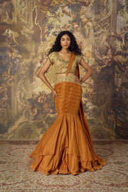 Burnt Orange Concept Saree With Gold Blouse