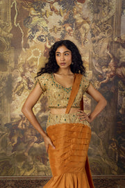 Burnt Orange Concept Saree With Gold Blouse